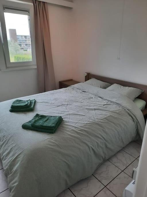 דה האן Spacieux Duplex Pres De La Mer 4 Chambres 2 Sdb מראה חיצוני תמונה